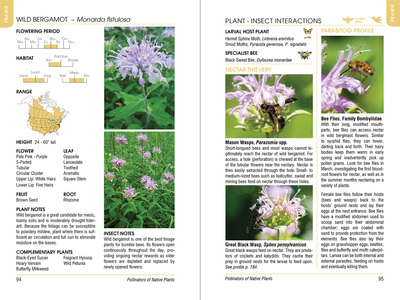 Preview Inside the Book - Bee and Pollinator Books by Heather Holm